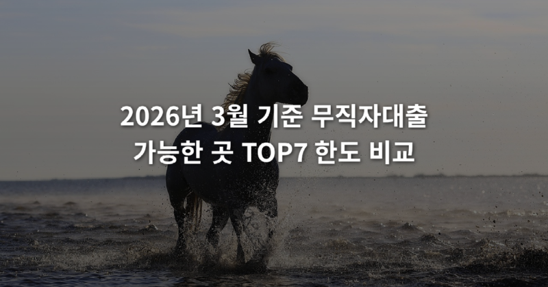 2026년_3월_기준_무직자대출_가능한_곳_TOP7_한도_비교_1773635125588.png