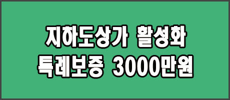 2024 인천시 지하도상가 활성화 지원 특례보증 (사업자, 소상공인)