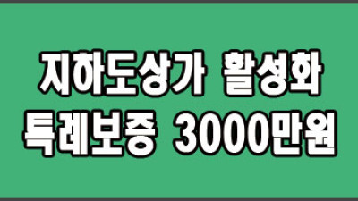 2024 인천시 지하도상가 활성화 지원 특례보증 (사업자, 소상공인)