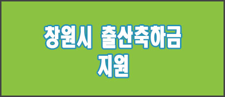 경상남도 창원시 출산축하금(시민1주년 축하금) 지원
