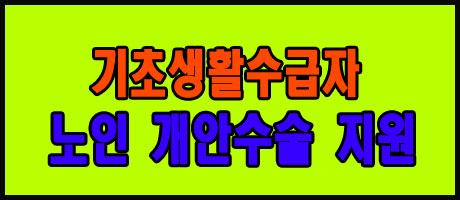 저소득층 노인 정밀 안 검신 실시 개안수술비 지원 받기